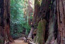 Napa & Sonoma ‘Total Wine Experience’ 2 Day Tour